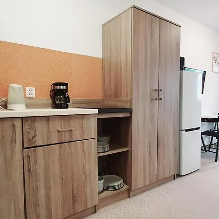 Family Apartment Szklarska Poreba