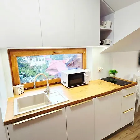 Family Raj Pod Sosnami Centrum Miasta! Apartman